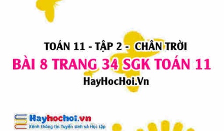 Bài 8 trang 34 Toán 11 tập 2 Chân trời sáng tạo